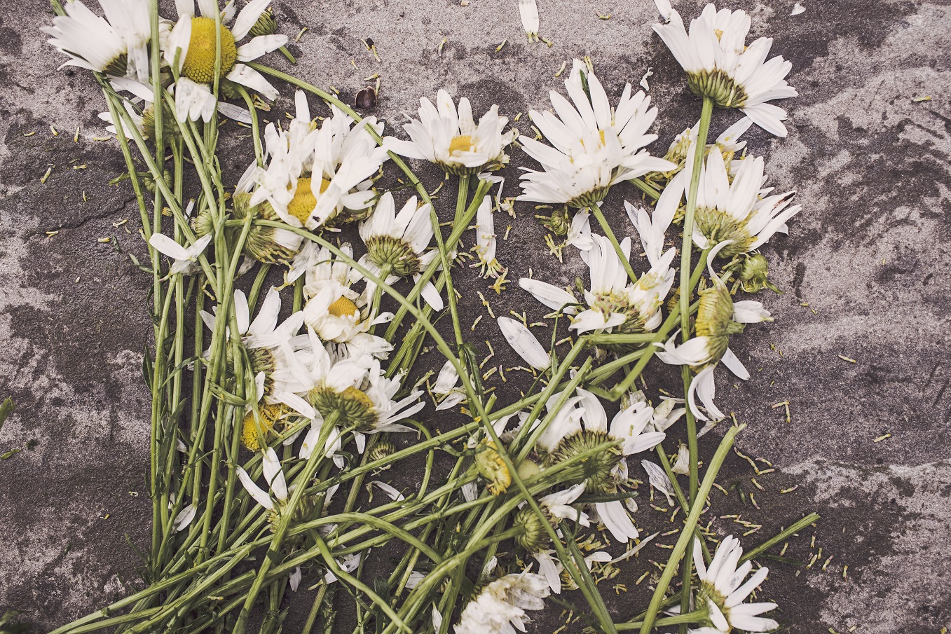 How To File Taxes For A Deceased Person RapidTax